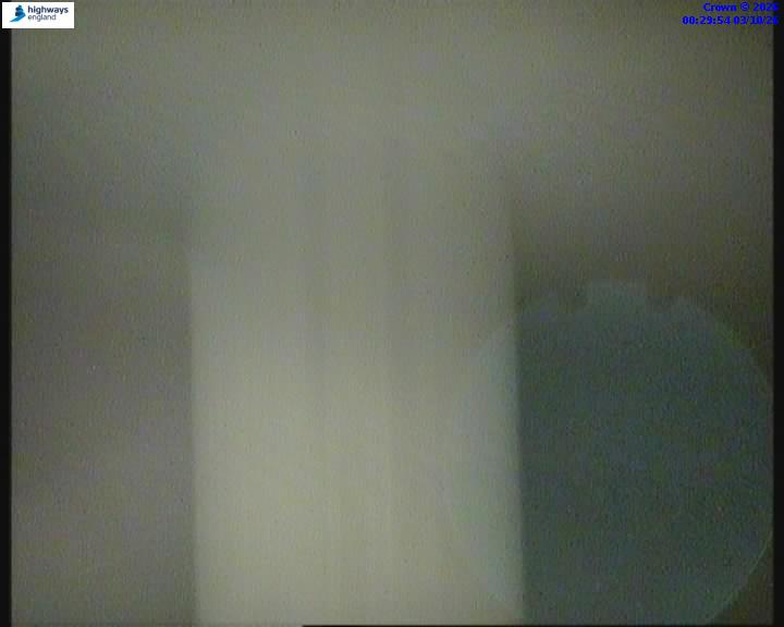 03/10/2026