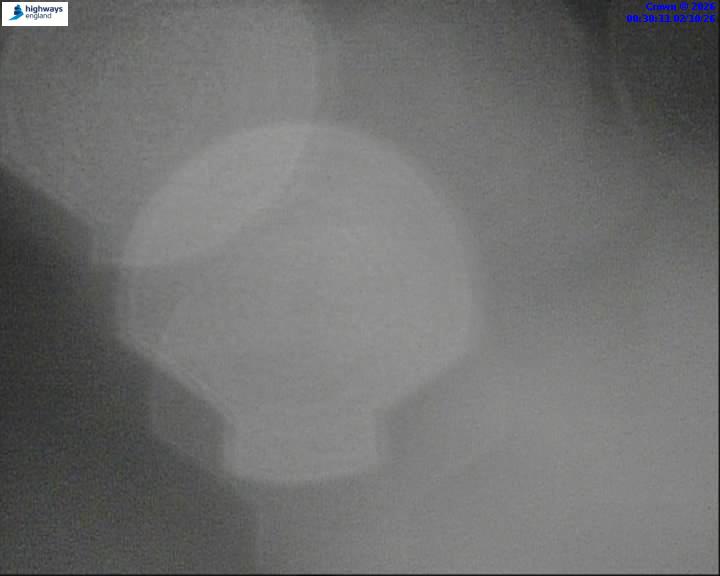 02/10/2026