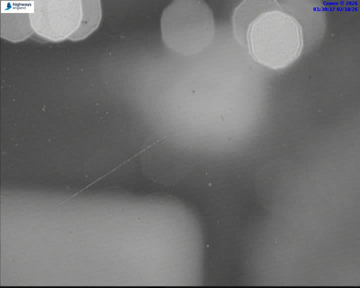 m42-06473-j7a-j7-1790904626.jpg