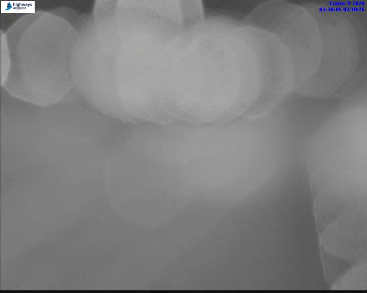 m42-06487-j8-1790911826.jpg