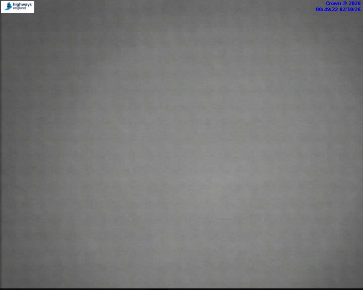 02/10/2026