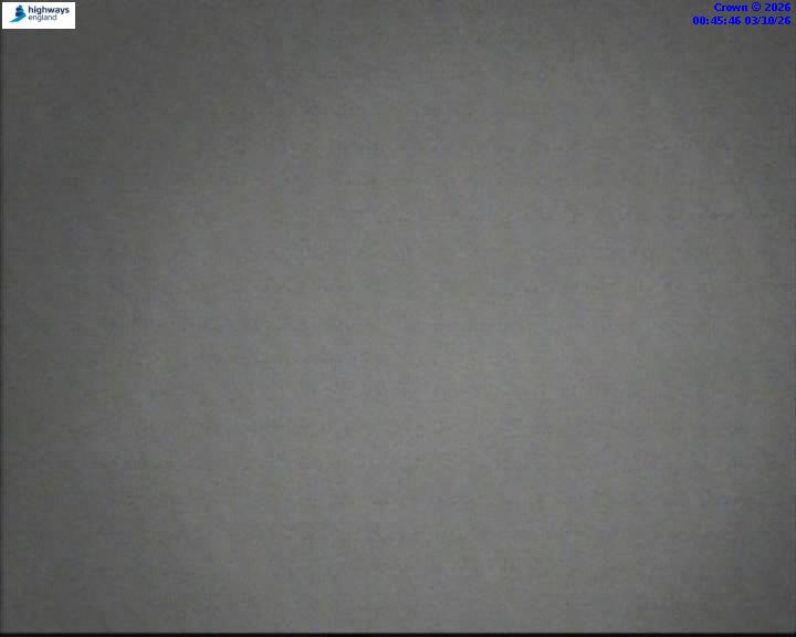 03/10/2026