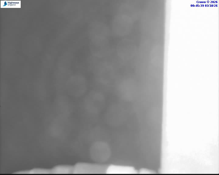 03/10/2026