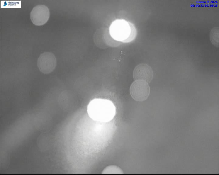 02/10/2026