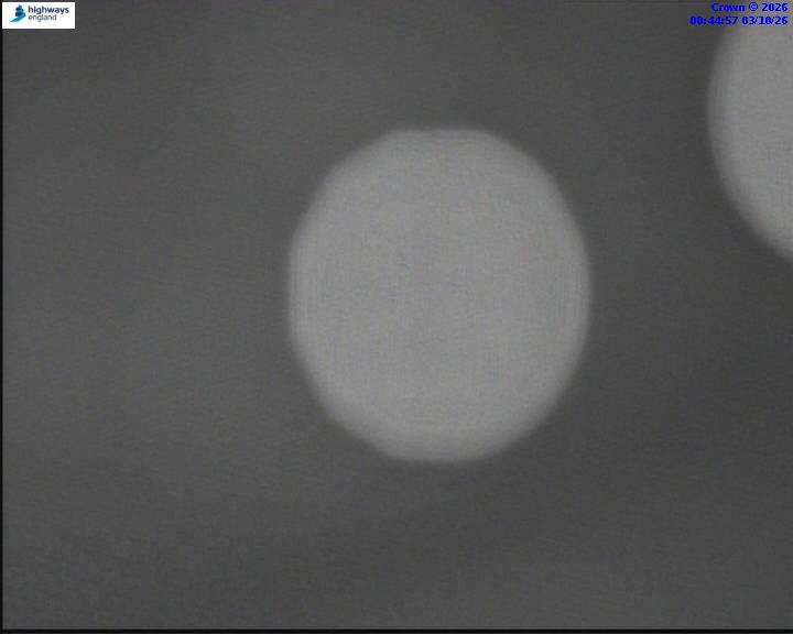 03/10/2026