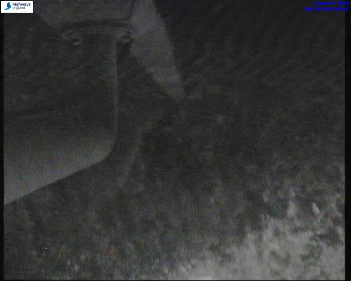 02/10/2026