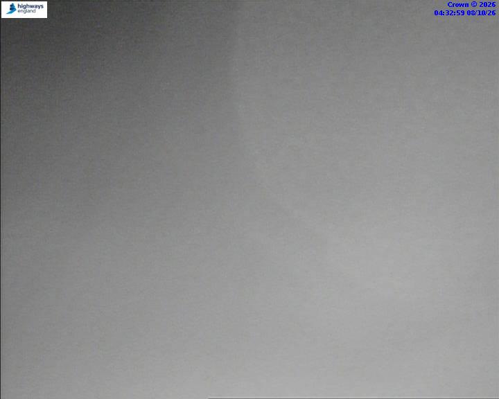08/10/2026