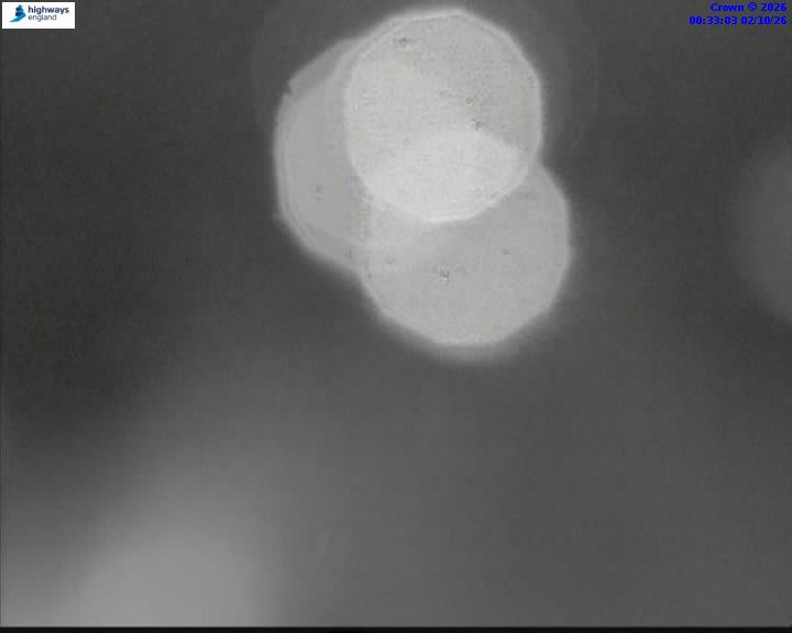 02/10/2026