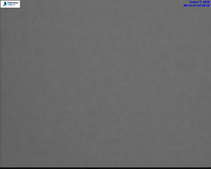 02/10/2026