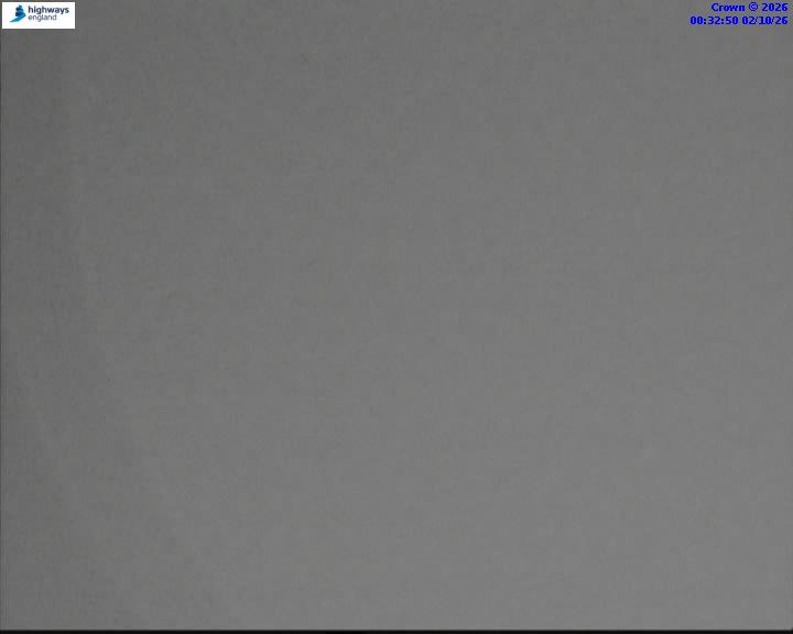 02/10/2026