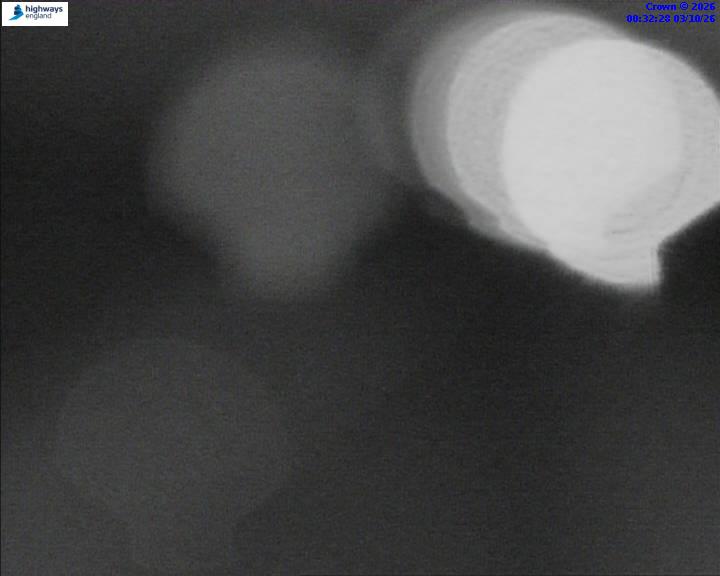 03/10/2026