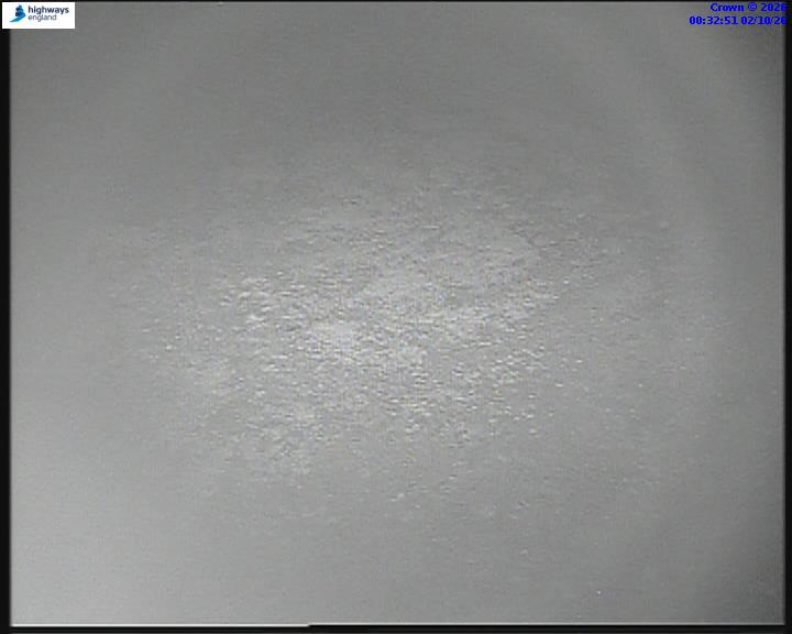 02/10/2026