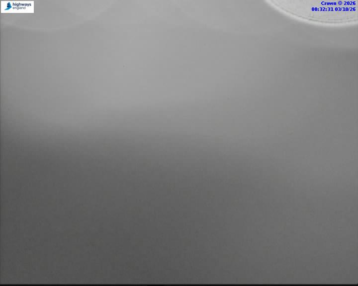 03/10/2026