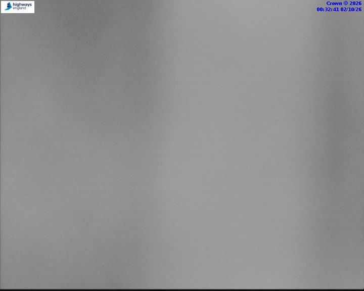 02/10/2026