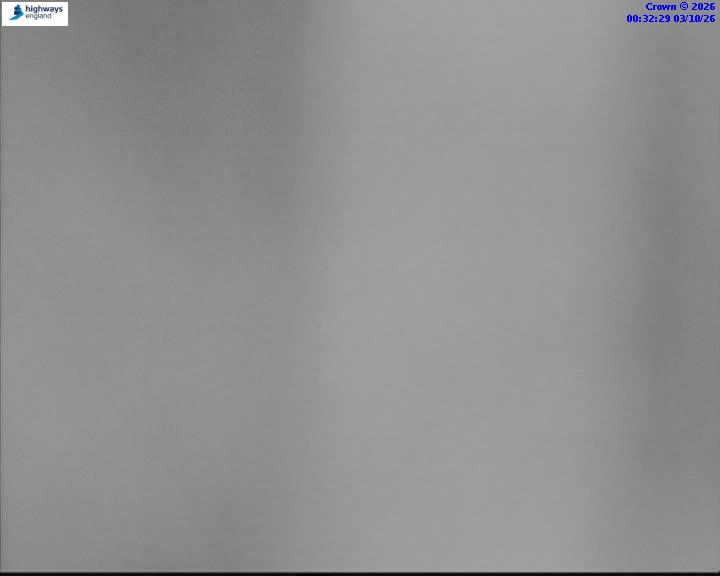 03/10/2026