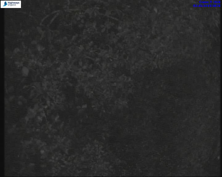 01/10/2026