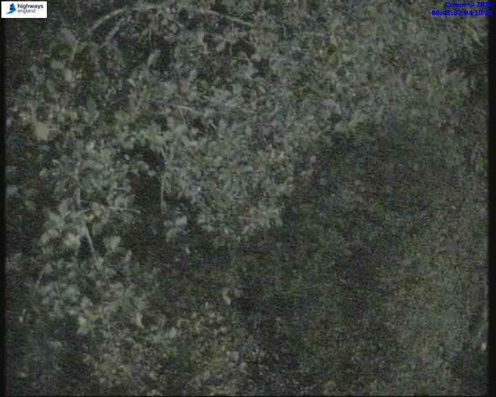 04/10/2026