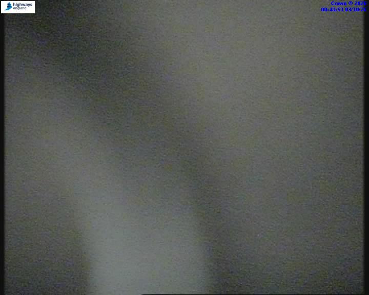 03/10/2026