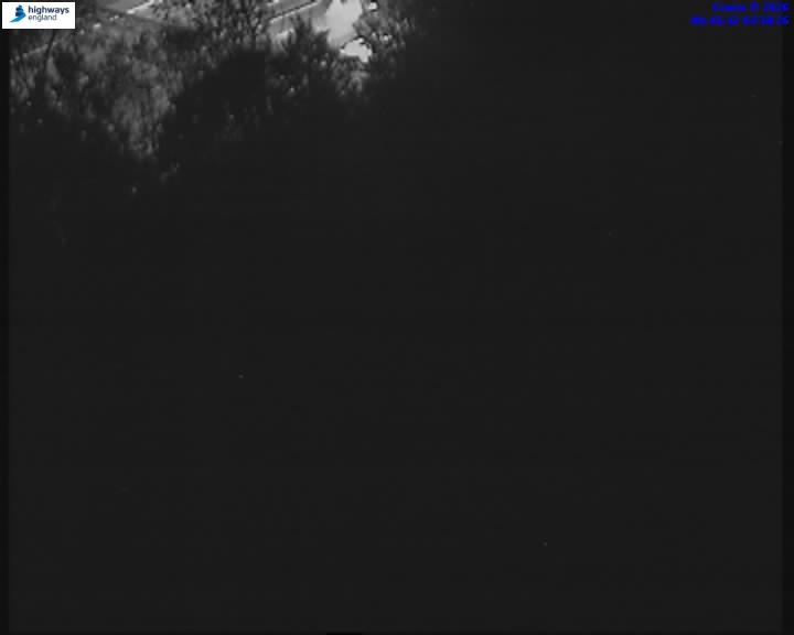 03/10/2026