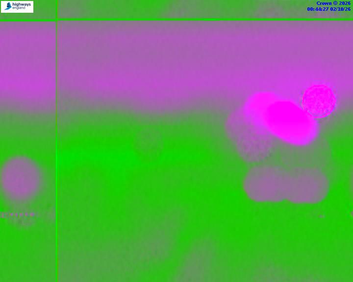 02/10/2026