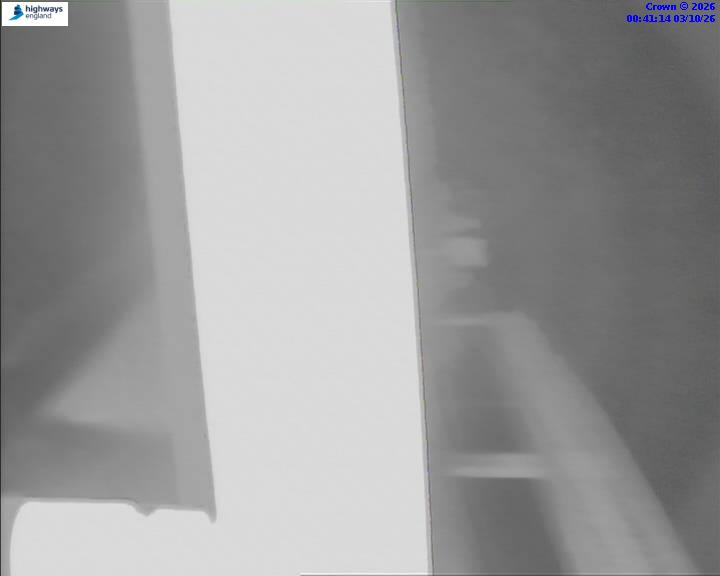 03/10/2026