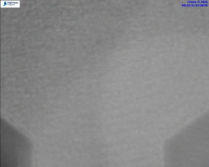 02/10/2026