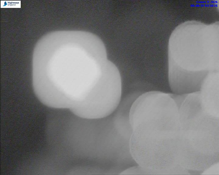 03/10/2026