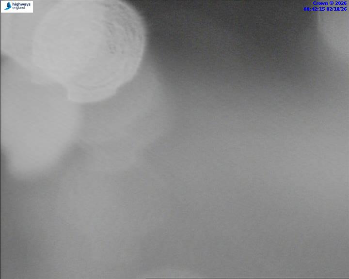 02/10/2026