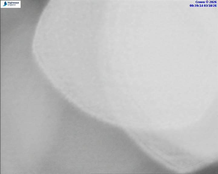 03/10/2026