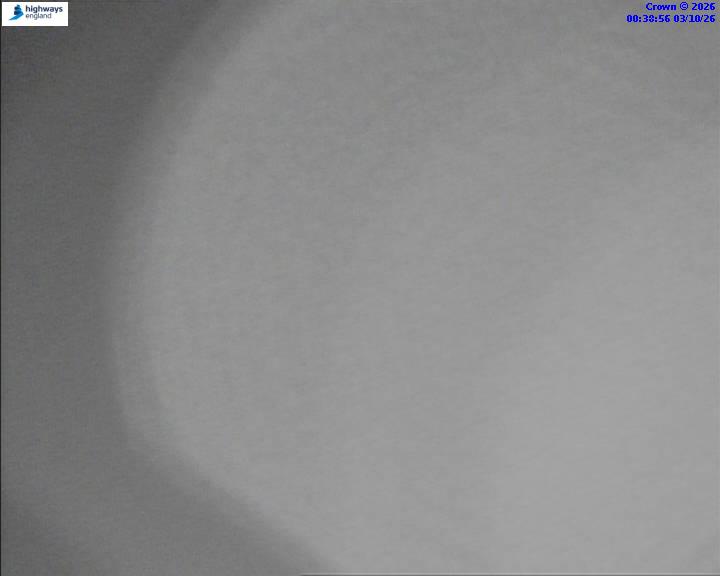 03/10/2026