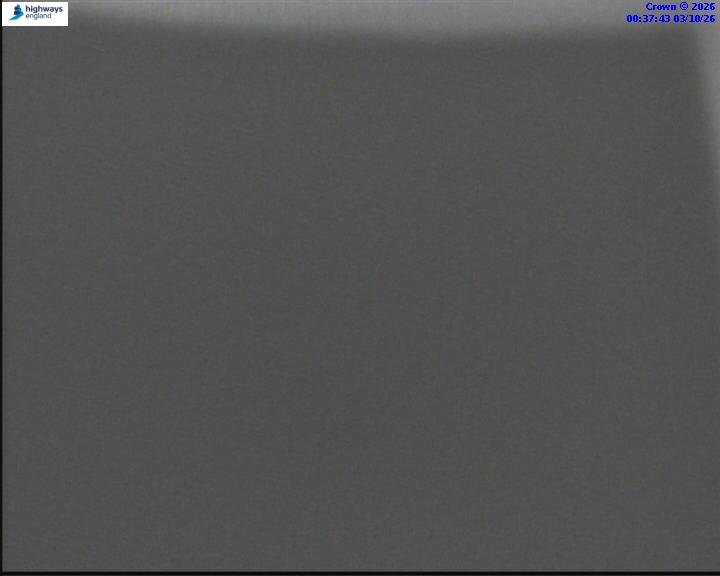 03/10/2026