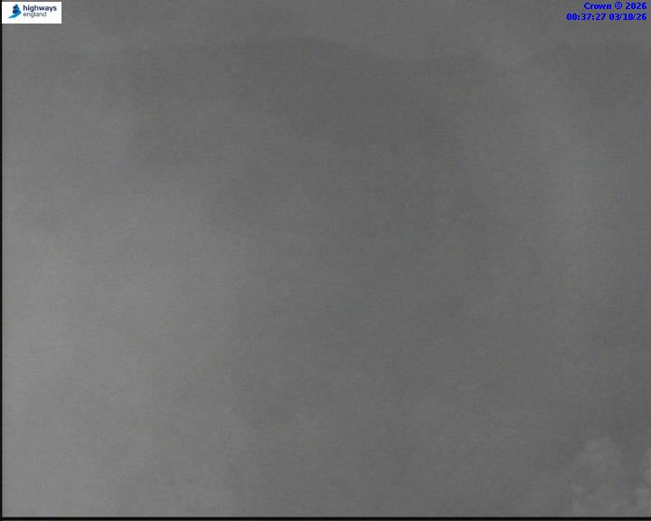 03/10/2026