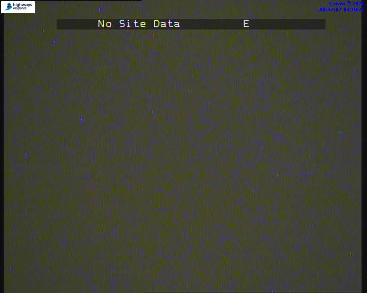 03/10/2026