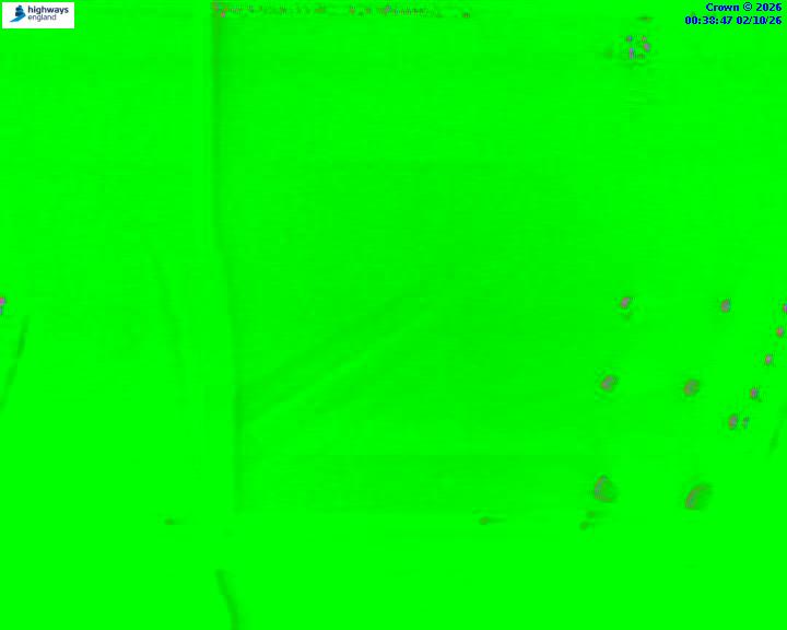 02/10/2026