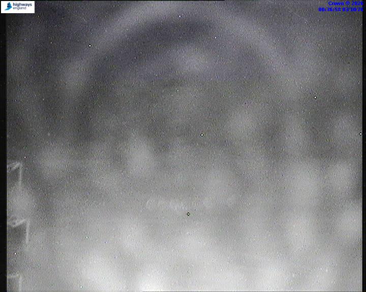 03/10/2026