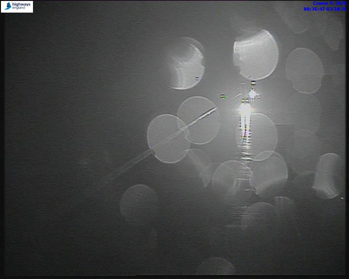 03/10/2026