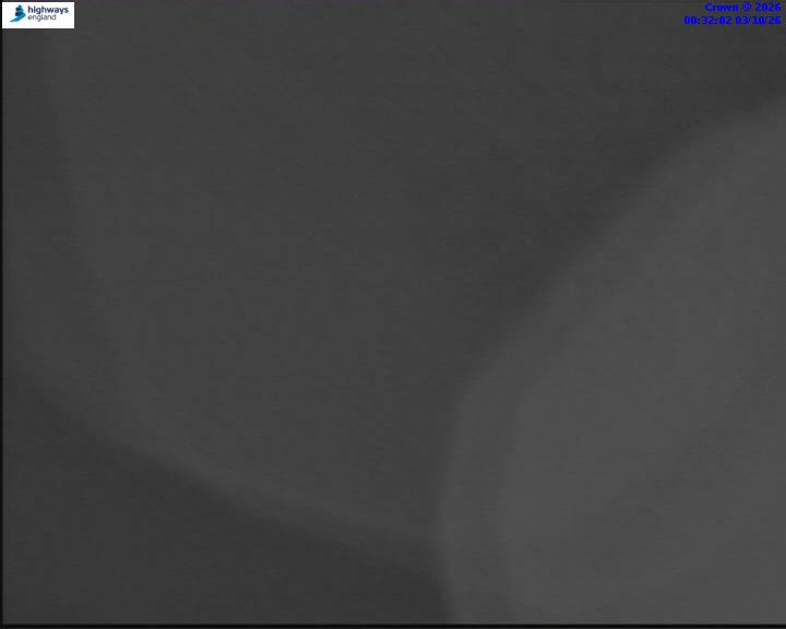 03/10/2026