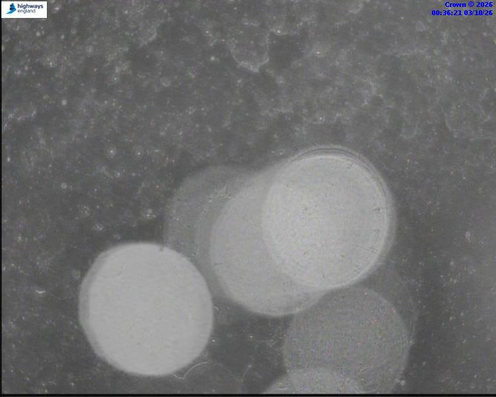 03/10/2026
