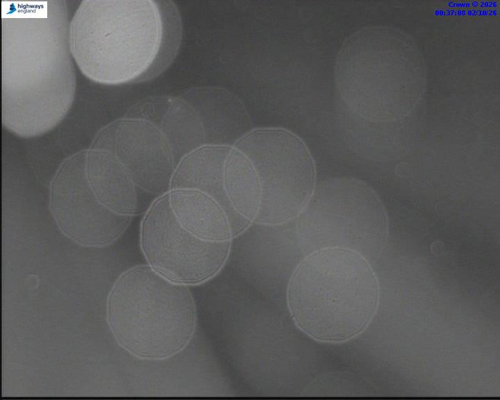 02/10/2026