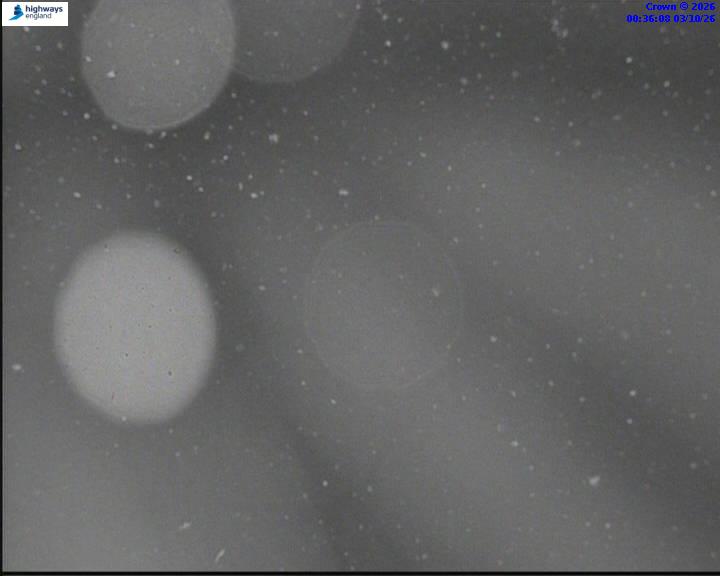 03/10/2026