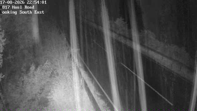 a817-haul-rd-south-east-1787007608.jpg
