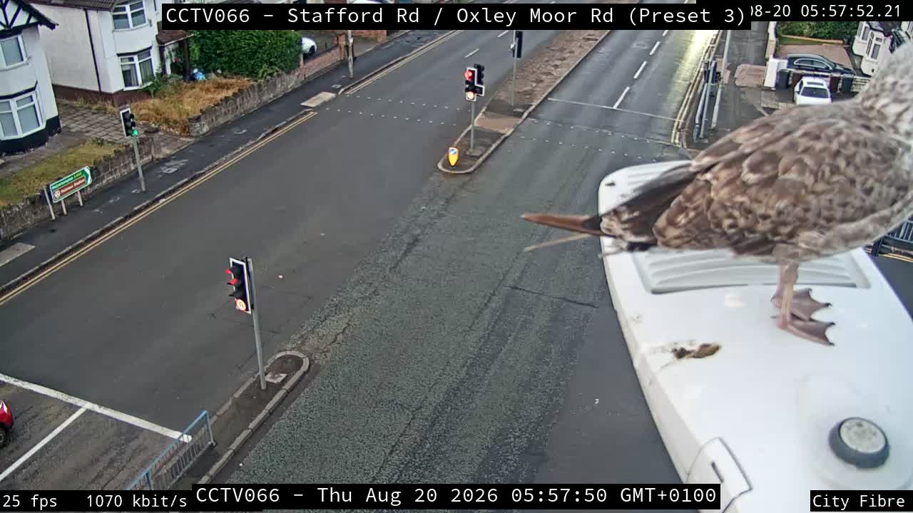 cctv066.1-1787206205.jpg