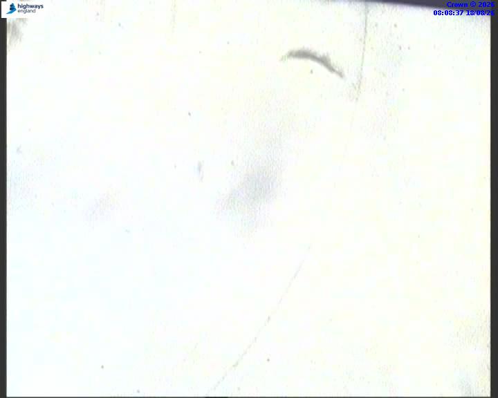 m40-09696-m42-j16-1787040529.jpg