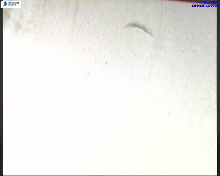 m40-09696-m42-j16-1787137580.jpg