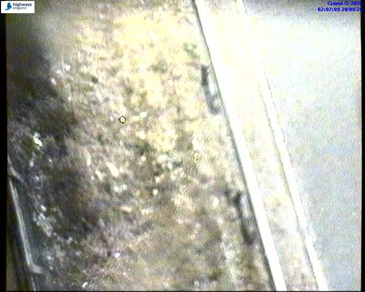 m40-09696-m42-j16-1787191637.jpg