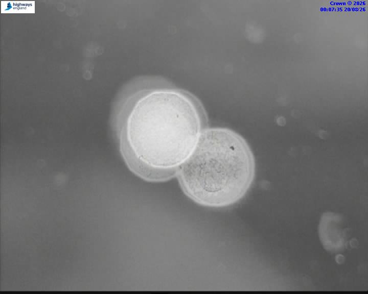 m40-09678-j16-1787184478.jpg