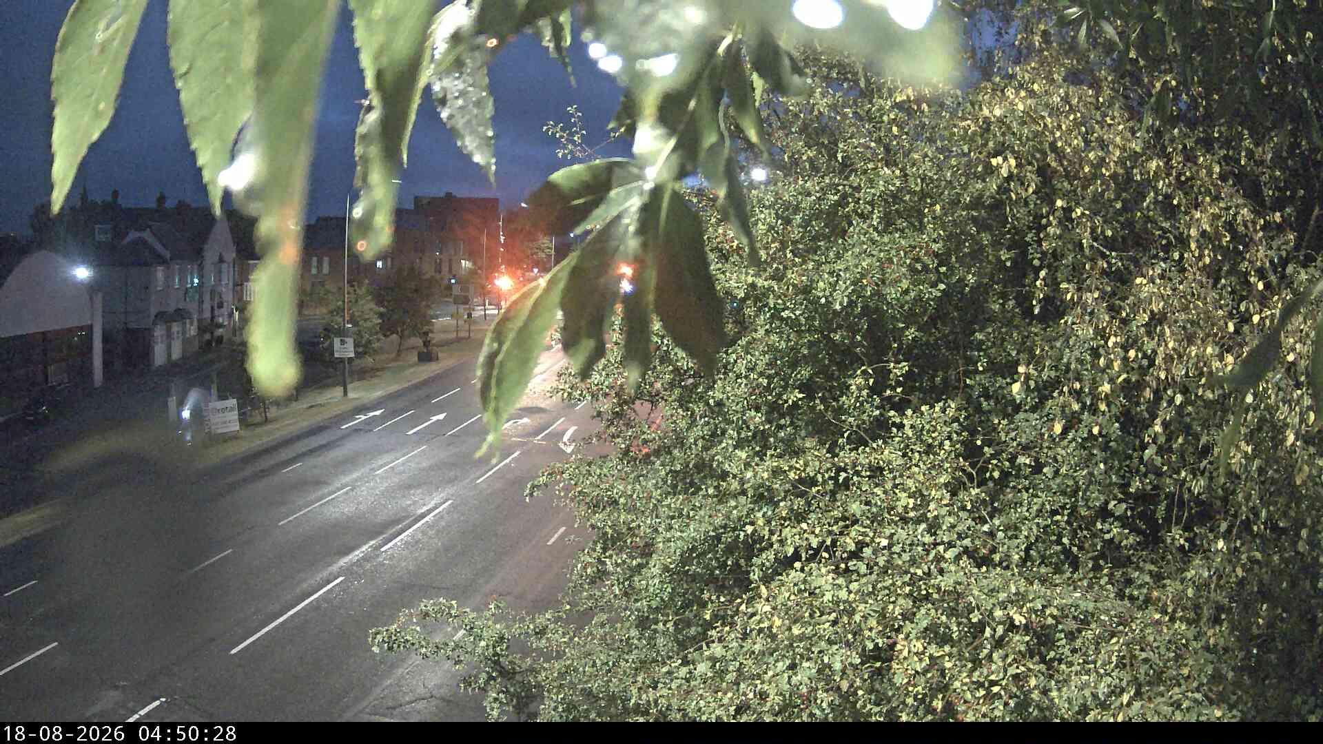 a167-darlington-rd-nevilles-x-1787029260.jpg