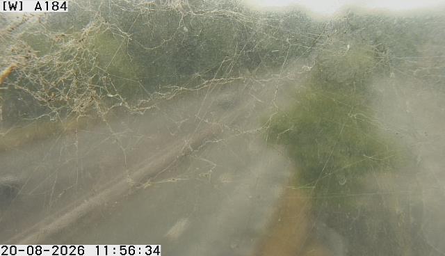 a184-a1114-derwentwater-rd-1787227254.jpg