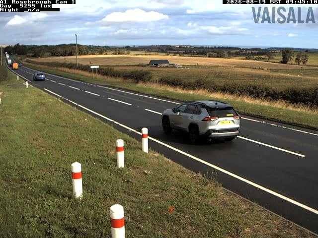 a1-rosebrough-n-1787133636.jpg