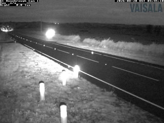 a1-rosebrough-n-1787202059.jpg
